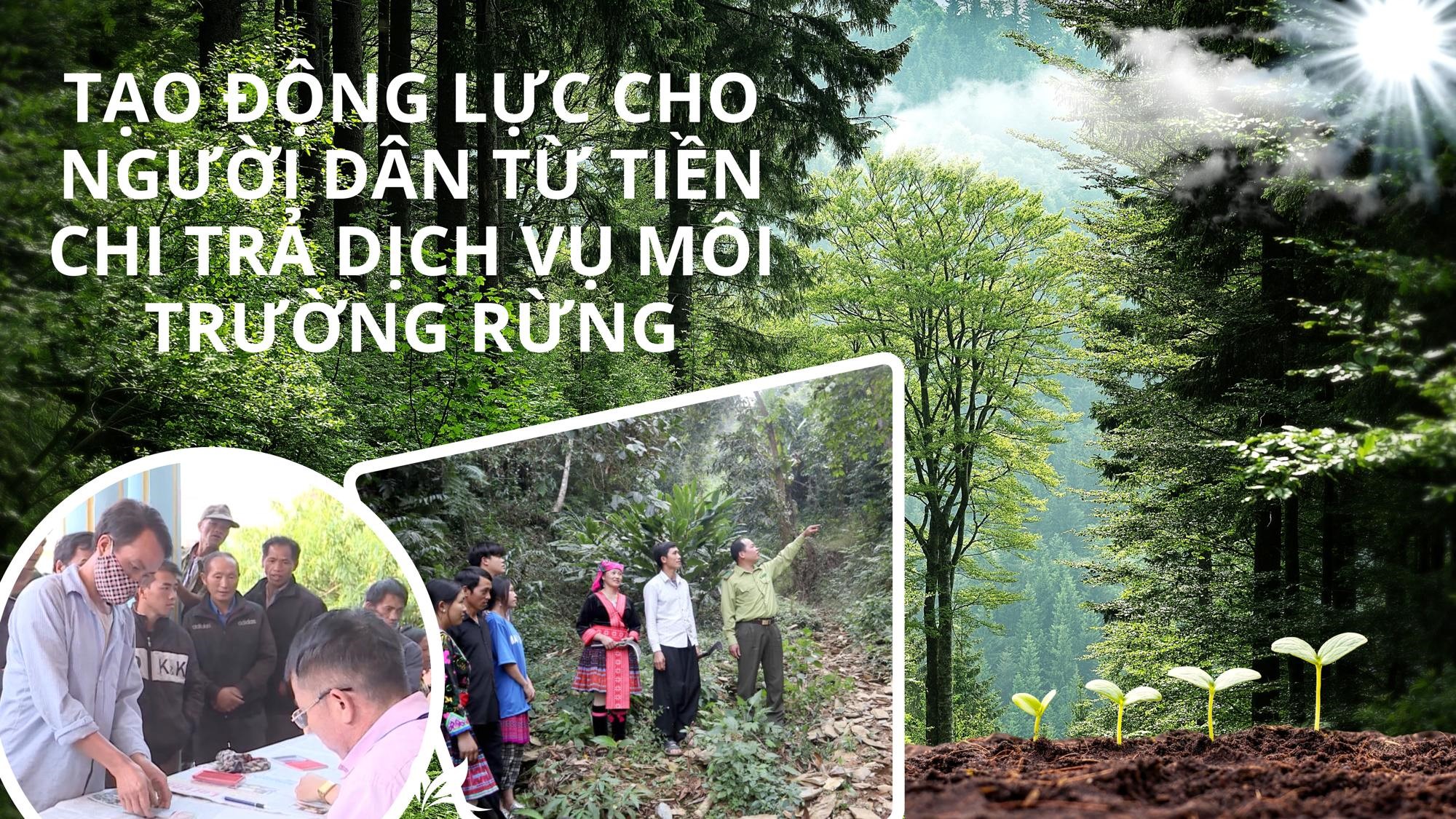  Tạo động lực cho người dân từ tiền chi trả dịch vụ môi trường rừng