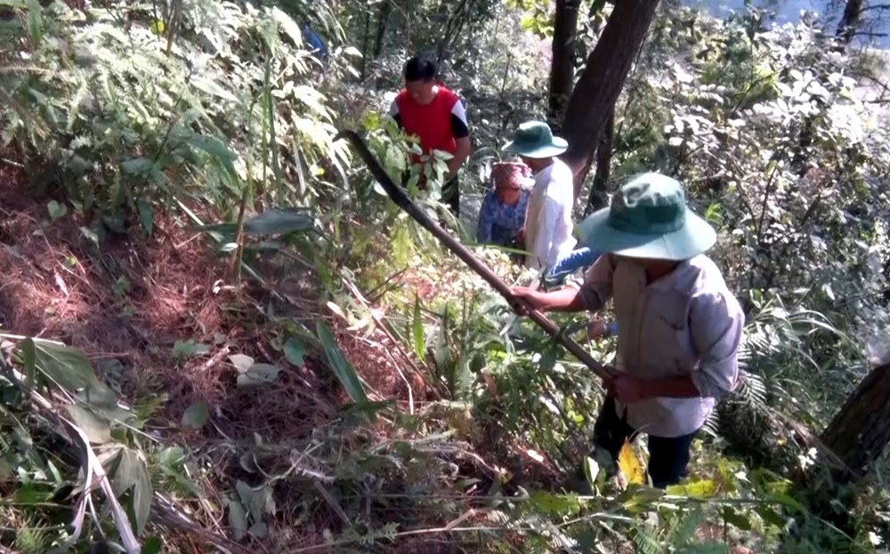  Yên Bái chủ động phòng, chống cháy rừng mùa khô