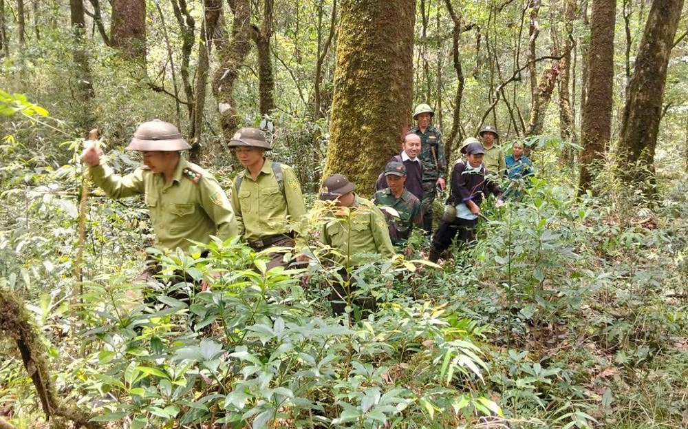  Nỗ lực giữ rừng mùa khô