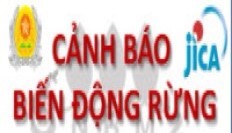 cảnh báo mấ rừng