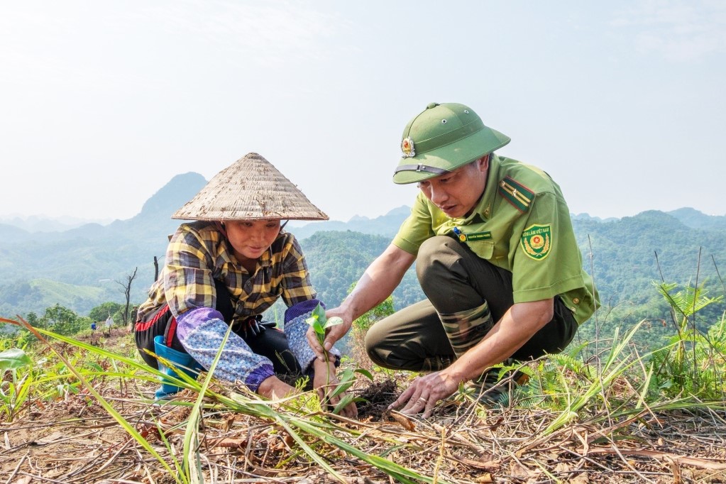  Quảng Hòa tăng cường công tác bảo vệ rừng