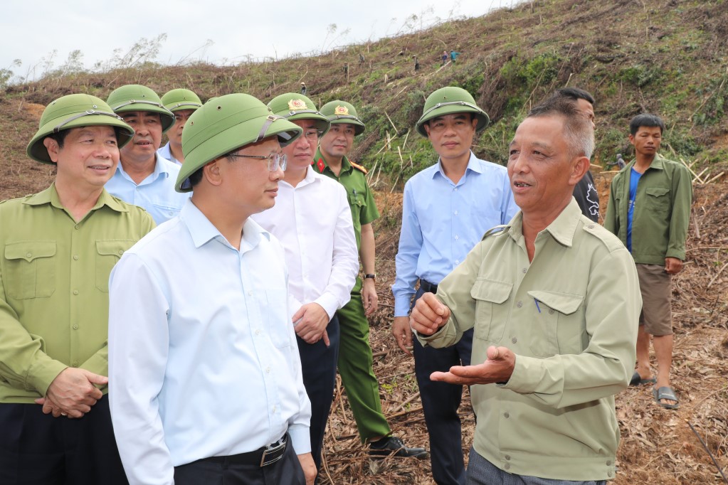  Ba Chẽ cần cơ cấu lại loại cây lâm nghiệp hợp lý