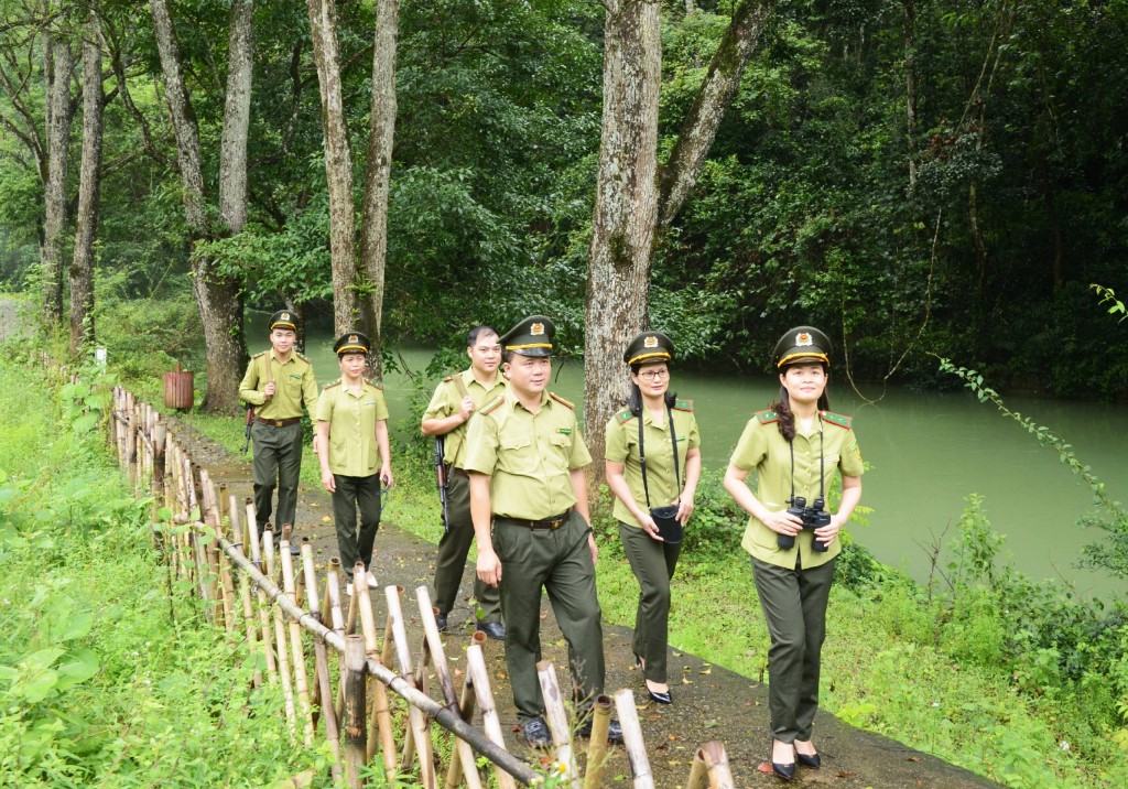  Cao Bằng tăng cường quản lý, bảo vệ và phát triển rừng bền bững